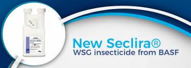 A Slug-A-Bug technician utilizing the superior sick lira WSG method for effective pest contro
