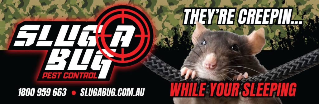 Rodent Pest Control - While You're Sleeping, They're Creeping